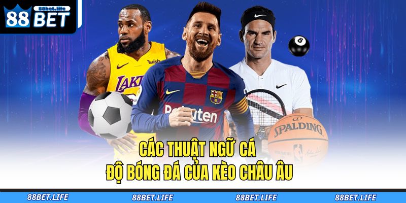 Các Thuật Ngữ Cá Độ Bóng Đá Cơ Bản Giúp Bạn Thắng Lớn 3 Các thuật ngữ cá độ bóng đá của kèo Châu Âu