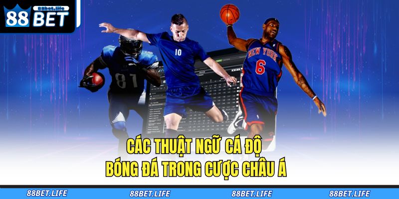Các Thuật Ngữ Cá Độ Bóng Đá Cơ Bản Giúp Bạn Thắng Lớn 2 Các thuật ngữ cá độ bóng đá trong cược Châu Á