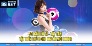 Soi Cầu Là Gì - Tất Tần Tật Kiến Thức Cho Người Mới 88BET 28 soi cầu là gì
