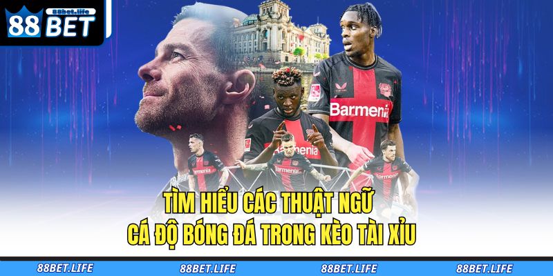 Các Thuật Ngữ Cá Độ Bóng Đá Cơ Bản Giúp Bạn Thắng Lớn 4 Tìm hiểu các thuật ngữ cá độ bóng đá trong kèo tài xỉu